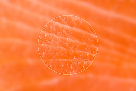 Eating High-Protein? These Foods Will Likely Be On Your Plate In 2025