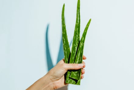 The Powerful Latin American Blood-Sugar Balancer That You Should Be Eating (But Aren't)
